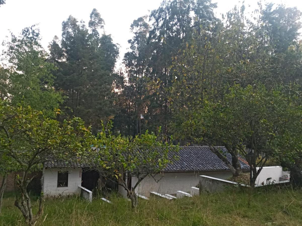 Quinta Los Eucaliptos Hotel Quito Exterior foto
